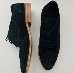 ASOS velvet Oxford lace-up shoes